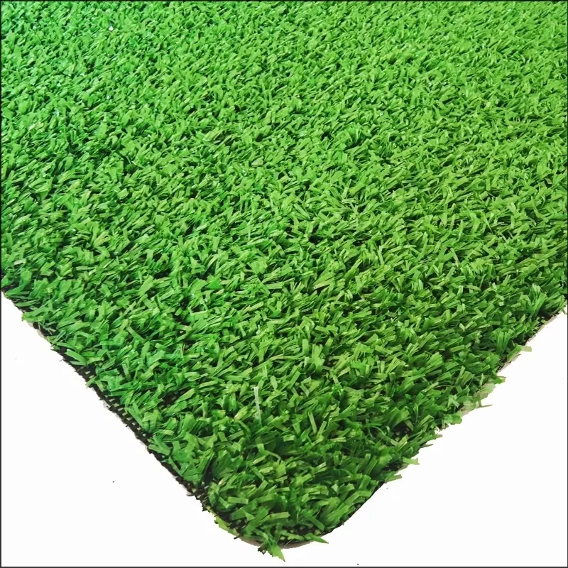 See More About Teppichgras CG8