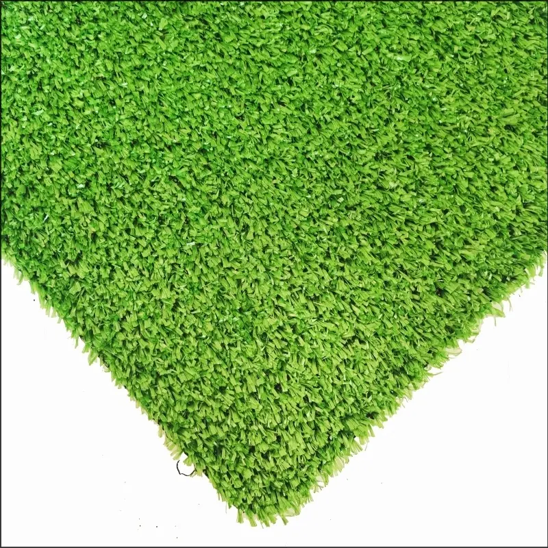 See More About Teppichgras CG10
